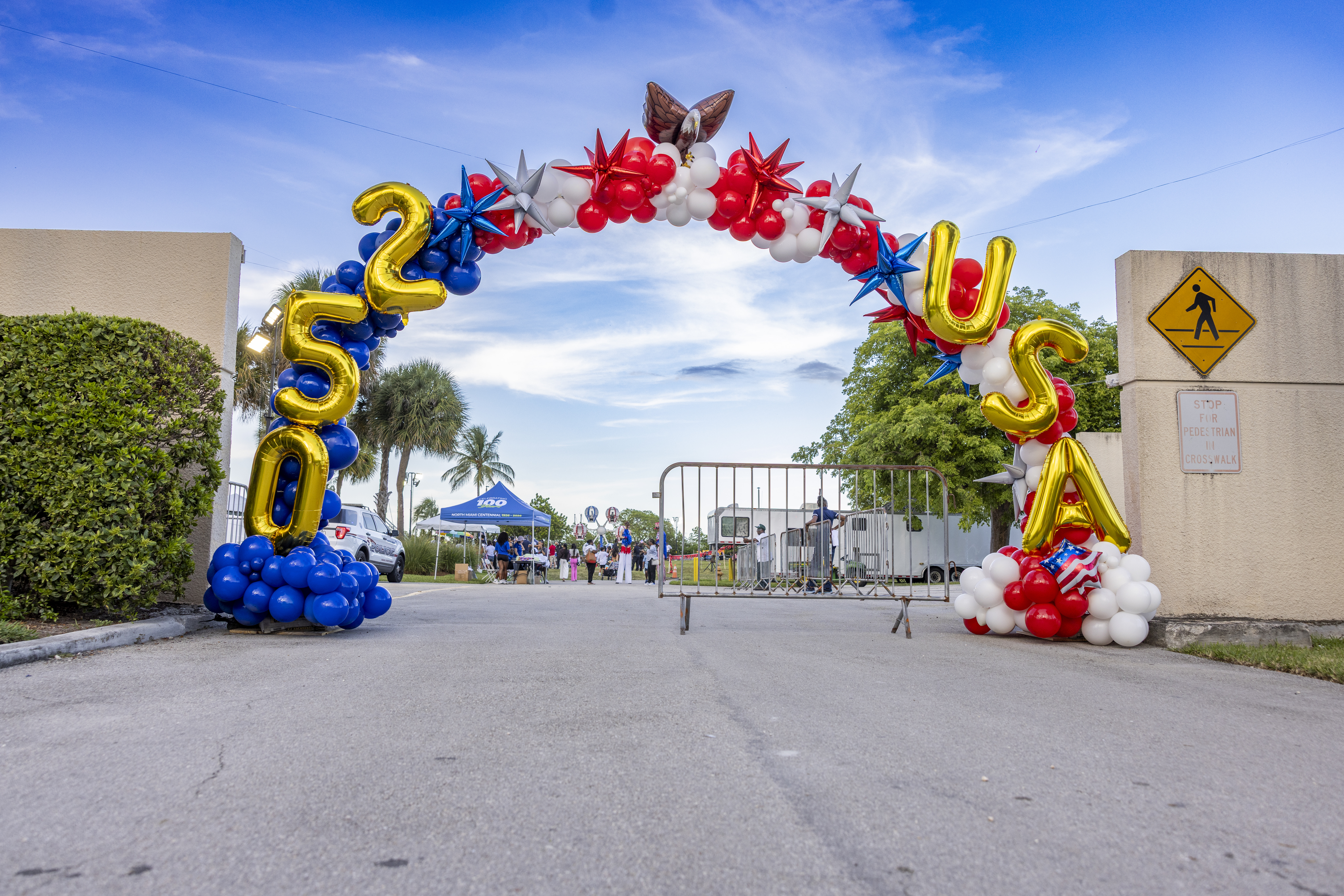 Balloon arch 250 USA
